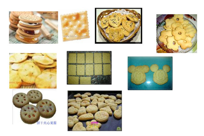 As cookies e a linha de produção automáticas do biscoito salvar a energia de aço inoxidável
