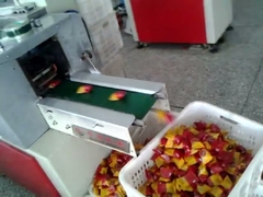 Pillow Type Snack Food Packaging Machine With Film Beneath Supply System